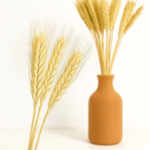 FLORES SECAS TRIGO
