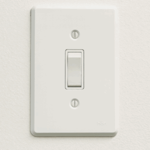 INTERRUPTOR SIMPLES COM ESPELHO 6A 250V